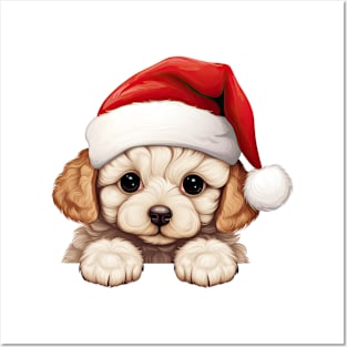 Christmas Peeking Bichon Frise Dog Posters and Art